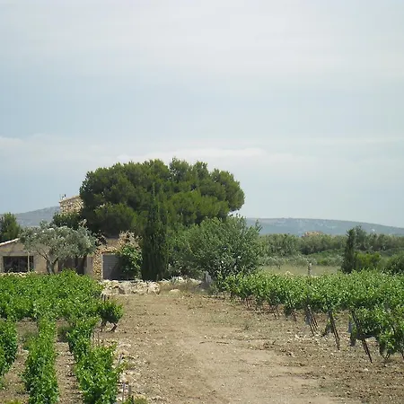 Villa Mas Des 4 Vents Fitou Esterno foto